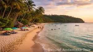 Corbyn’s Cove Beach