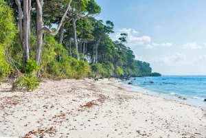 Laxmanpur Beach