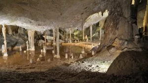Limestone Caves