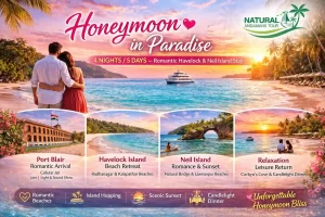 Honeymoon in Paradise
