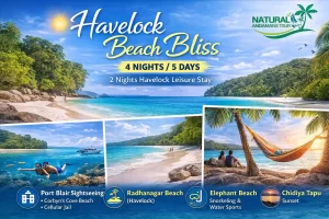 Havelock Beach Bliss